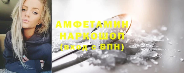 крисы Надым