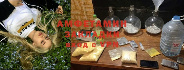 крисы Надым