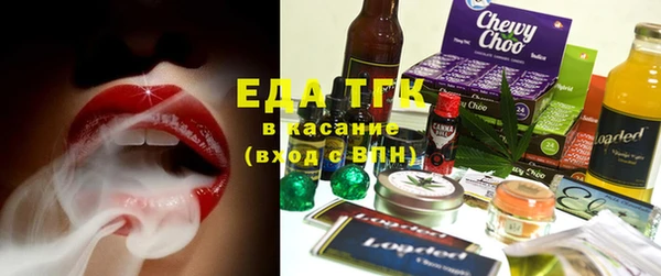 крисы Надым